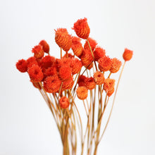 Load image into Gallery viewer, Dried Flower
