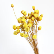 Load image into Gallery viewer, Dried Flower
